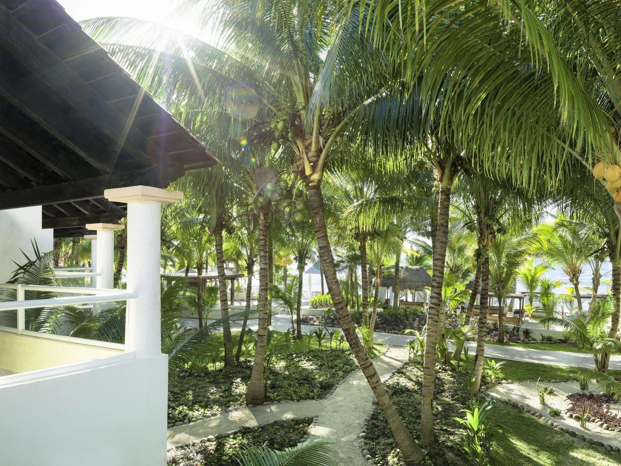 El Dorado Seaside Palms Adults Only Hotel Xetna Kültér fotó